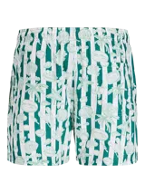 Short de baño con estampado de rayas verticales verdes y blancas sobre el cual se superponen dibujos de temática marina. Cuenta con cintura elástica con cordón de ajuste y bolsillos laterales.