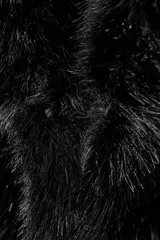 Abrigo corto de piel sintética en color negro, con cuello de solapa amplio, manga larga y cierre frontal con corchetes ocultos.