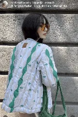 Campera corta de nylon impermeable con estampado de medusas y rayas onduladas en tonos beige y verde.