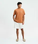 Remera masculina color marrón, de corte comfort, con cuello redondo y mangas cortas. Presenta un estampado de letras "Travelers" en el pecho y la espalda.