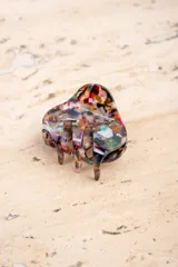 Broche de acrílico para el pelo con diseño abstracto multicolor.