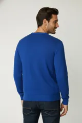 Buzo de cuello redondo y manga larga, con puños y ruedo acanalados, de diseño liso y corte clásico.