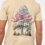 Remera beige de manga corta y cuello redondo, con pequeño estampado circular en el centro del pecho que incluye texto en tonos rosados y blancos.