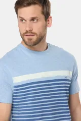 Remera de manga corta gris con rayas horizontales azules y blancas.