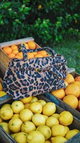 Cartera tipo tote con estampado animal print de leopardo, confeccionada en cuero con detalles de hebilla metálica en el frente y doble asa de mano.