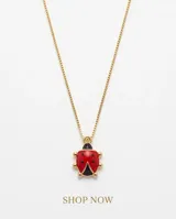 Collar de bronce con cadena fina dorada y un dije colgante en forma de mariquita con detalles esmaltados en rojo y negro.
