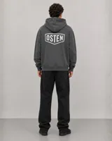Canguro con capucha y cordones ajustables, de color gris oscuro con efecto lavado. Presenta un bolsillo frontal tipo canguro y estampado gráfico pequeño en el pecho con el logo de la marca.
