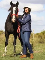 Campera negra capitoneada con paneles laterales acanalados, cuello alto y cierre con botones a presión.