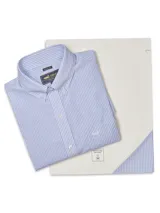 Camisa de manga larga RKF con diseño de rayas verticales finas en color celeste y blanco. Presenta cuello abotonado, bolsillo frontal en el pecho con logo bordado y cierre de botones.
