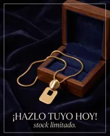 Collar de acero con baño de oro, compuesto por una cadena de eslabones finos y un dije geométrico formado por un círculo superior y un rectángulo inferior con centro calado.