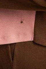 Sweater de algodón con textura tipo waffle, diseño bicolor con cuerpo en color rosado y mangas largas en color marrón. Presenta cuello redondo y un calce holgado.