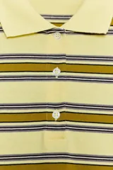 Polo de manga larga confeccionado en algodón, con diseño a rayas horizontales en tonos amarillos, verdes y oscuros. Presenta cuello solapa, cierre frontal con botones y bajo recto.