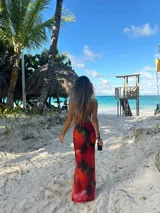 Vestido midi de microtul rojo con estampado de rosas y hojas verdes, escote en V con encaje negro y breteles finos regulables en la espalda.