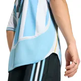 Camiseta de fútbol Adidas de la Selección Argentina, modelo Home 2006, con el número 19 en el frente. Diseño a rayas verticales celestes y blancas, con detalles en negro y dorado. Incluye logo de Adidas y escudo de la AFA.