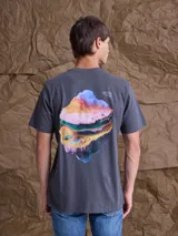 Remera gris de corte clásico con estampa artística en la espalda que representa capas geológicas coloridas y la palabra Biosphere.