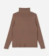 Blusa de manga larga con cuello alto, confeccionada en tejido de viscosa con elastano, de diseño liso y ajuste al cuerpo.