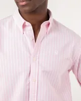 Camisa de hombre a rayas verticales rosas y blancas, corte regular fit, cuello button-down, manga larga con puño simple y logo bordado en el pecho.