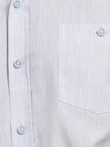 Camisa celeste a rayas verticales finas, de manga larga y corte clásico.