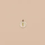 Dije circular de plata con relieve texturizado en los bordes y símbolo de la medicina (caduceo) en oro 18k en el centro.
