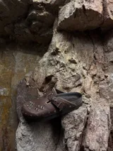 Zuecos de cuero marrón con diseño vintage, tachas plateadas y hebilla lateral.