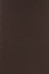 Medias can can de 40 deniers con cintura elástica estándar.