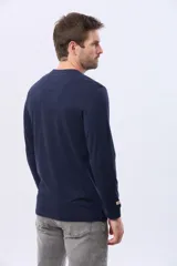 Remera manga larga lisa, color gris claro, con cuello redondo y logo bordado en el pecho.