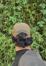 Gorra de color marrón claro con visera curva y logo bordado en azul claro en el frente.