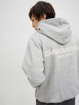 Canguro gris melange con capucha, mangas largas y bolsillo tipo canguro. Estampado en la espalda con la inscripción "Oakwood Nine Zero 90291 LA County".