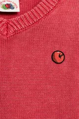 Jersey de punto de algodón color rosado, con cuello en V, manga larga y acabados en rib. Presenta un pequeño parche gráfico bordado en el pecho.