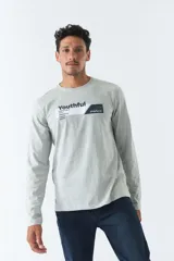 Remera gris de manga larga con cuello redondo y estampado frontal con la palabra 'Youthful' y el logo de Mistral.