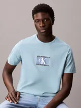 Remera de manga corta y cuello redondo en color celeste, con estampado frontal de logo Calvin Klein en un recuadro central.