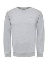 Buzo de cuello redondo color gris melange, con mangas largas y terminaciones en rib en puños y cintura. Presenta un pequeño parche bordado con forma de pato en el pecho.