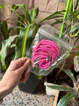 Correa para celular de soga trenzada en color fucsia con terminales metálicas plateadas y mosquetón.