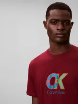Remera de manga corta y cuello redondo, confeccionada en algodón. Presenta un estampado gráfico en el pecho con el monograma de la marca en colores azul, verde y rojo, junto con el logo de Calvin Klein debajo.
