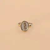 Anillo de diseño ovalado con el símbolo de la medicina (caduceo) en relieve, elaborado en una combinación de plata 925 y detalles en oro 18k.