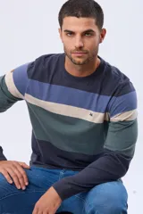 Remera de manga larga con cuello redondo y diseño de rayas horizontales en azul marino, azul claro, beige y verde oscuro. Incluye un pequeño logo bordado en el pecho.