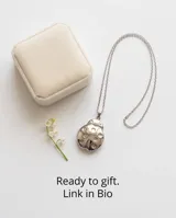 Collar de cadena fina con dije de acero en forma de mariquita que funciona como camafeo, permitiendo abrirlo para guardar una fotografía.