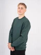 Buzo deportivo gris oscuro de algodón con felpa, cuello redondo y corte clásico.