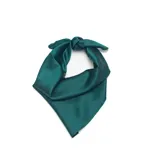 Pañuelo de satén color verde petróleo, de diseño liso y acabado brillante.