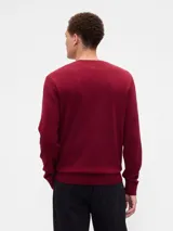 Buzo de punto con cuello en V, manga larga y puños y ruedo acanalados.