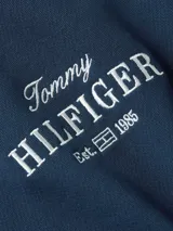 Buzo azul con capucha de Tommy Hilfiger. Tiene cordones ajustables, puños y dobladillo acanalados, y el logo de Tommy Hilfiger bordado en blanco en el pecho.