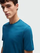 Remera de algodón de corte regular, color gris oscuro, con cuello redondo y logo de la marca bordado discretamente en el pecho.