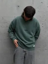 Buzo de cuello redondo en color verde, con diseño de calce holgado, puños y ruedo acanalados, y un pequeño logo bordado en el centro del pecho.