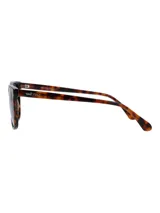 Lentes de sol RKF modelo Bolzano, con armazón de acetato de celulosa con patrón carey en tonos marrones y negros, y cristales oscuros polarizados.