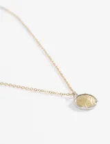 Collar de acero quirúrgico hipoalergénico plateado con cadena fina y dije de medalla redonda con borde dorado.