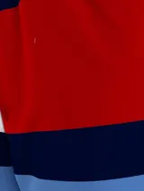 Short de baño Tommy Hilfiger con diseño de bloques de color con los colores de la bandera de Estados Unidos: azul, blanco y rojo.