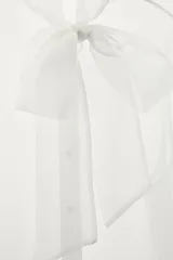 Camisa semitransparente de organza con cuello subido y lazada frontal del mismo tejido. Presenta manga larga con puños abotonados y cierre frontal con botones ocultos.