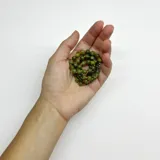 Collar de cuentas de jade verde de 6mm con separadores de hilo naranja y cierre de mosquetón de acero hipoalergénico.