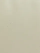 Bandolera rectangular color verde claro, con correa de cadena plateada y logo CK plateado en el frente.