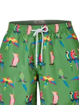 Short de baño RKF modelo Izam de color verde, con estampado colorido de loros y papagayos. Cuenta con cintura elástica con cordón ajustable blanco y gris, y bolsillos laterales.